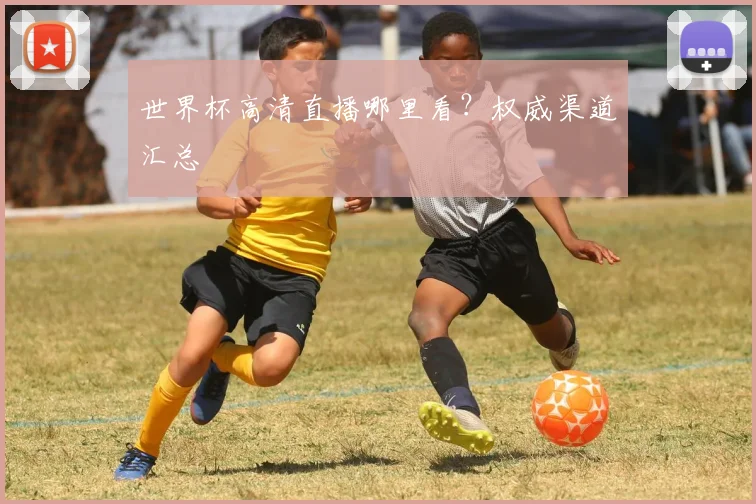 世界杯高清直播哪里看?权威渠道汇总