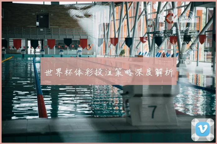 世界杯体彩投注策略深度解析