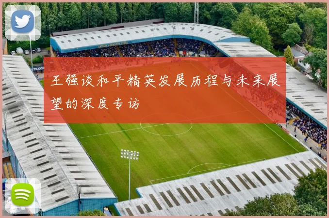 王强谈和平精英发展历程与未来展望的深度专访