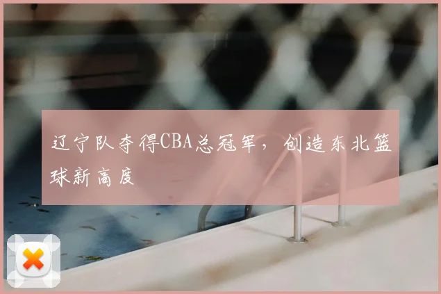 辽宁队夺得CBA总冠军，创造东北篮球新高度