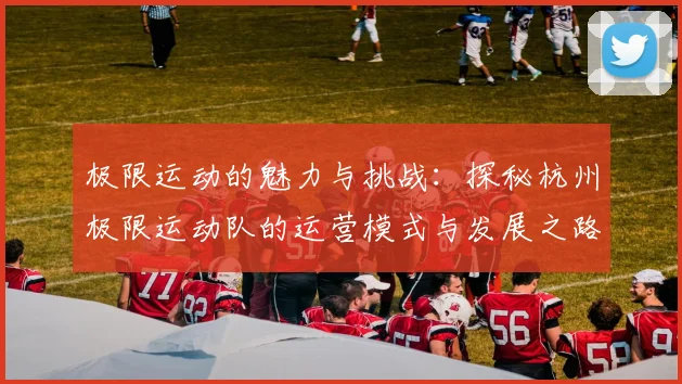 极限运动的魅力与挑战:探秘杭州极限运动队的运营模式与发展之路
