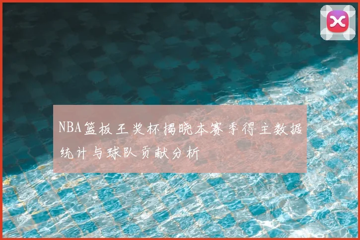 NBA篮板王奖杯揭晓本赛季得主数据统计与球队贡献分析
