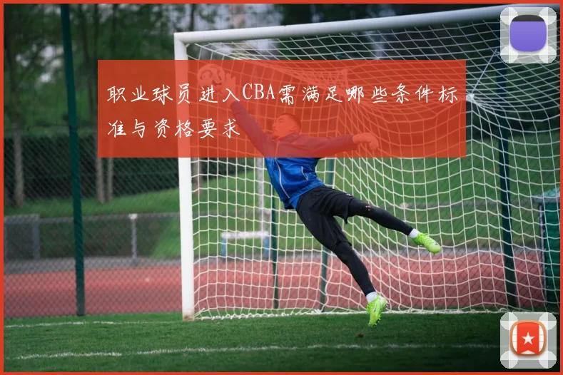 职业球员进入CBA需满足哪些条件标准与资格要求